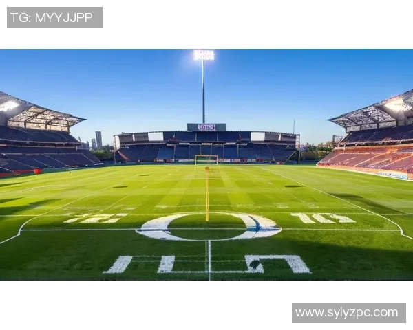 法国足球优雅之星：他如何在绿茵场上展现魅力与风采